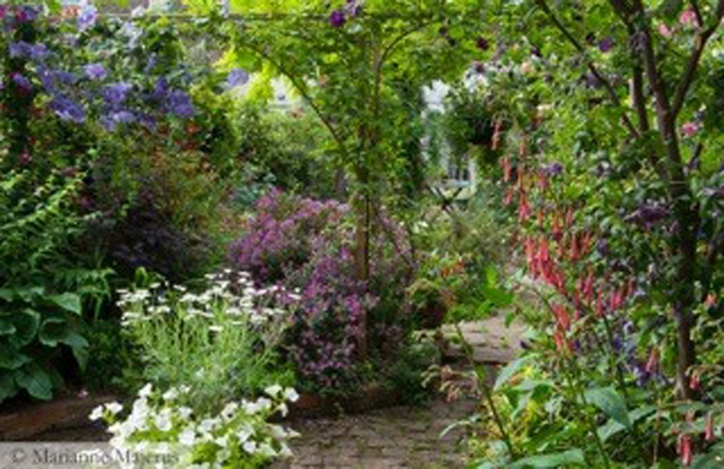 London Fields Gardens